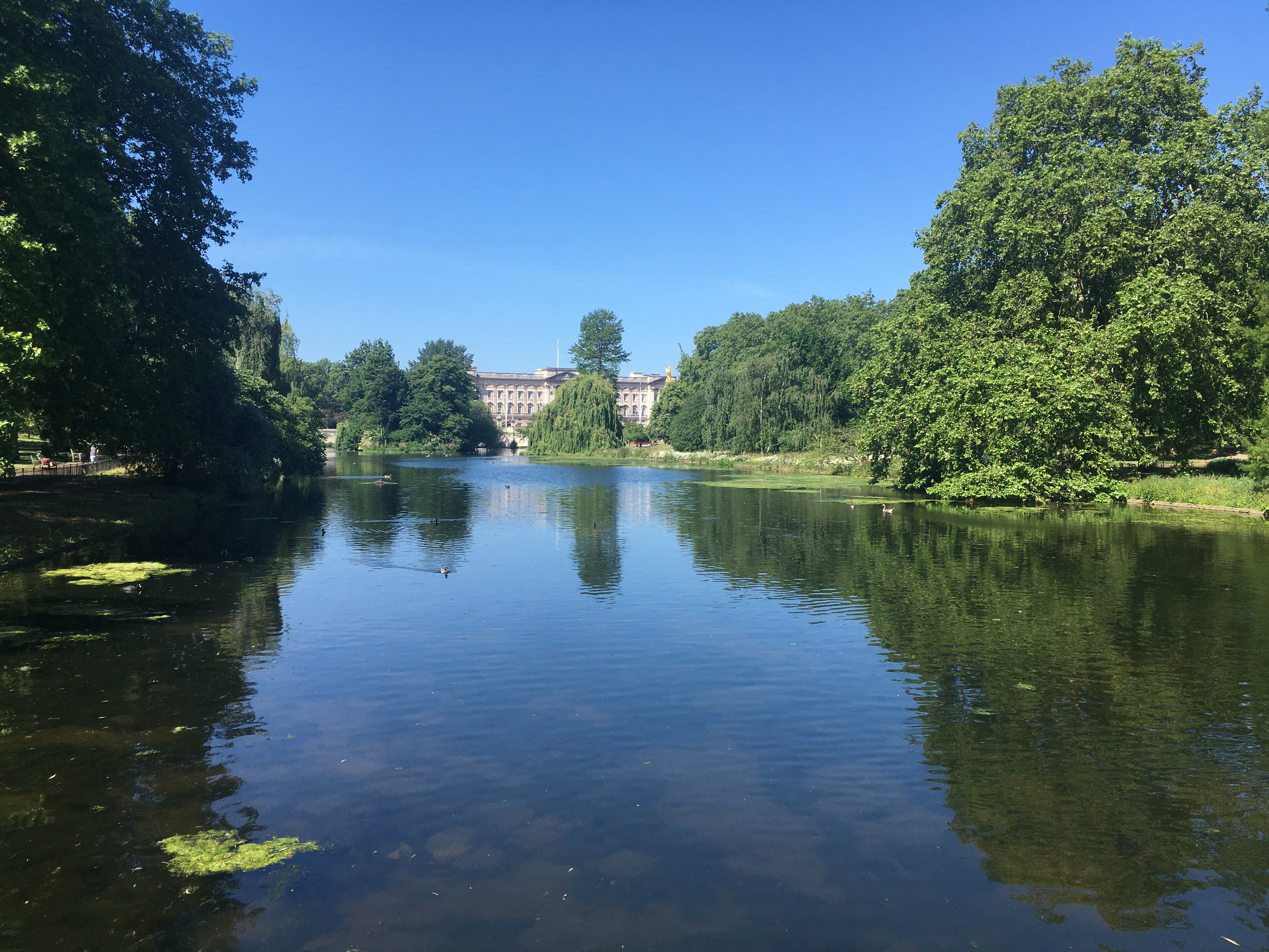 DFCA3351-25AC-4537-9C00-6CA593F35FAC